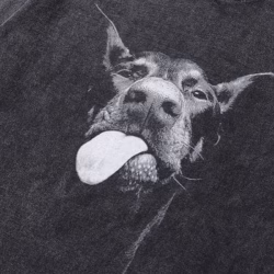 Лонгслів "Doberman v.2"